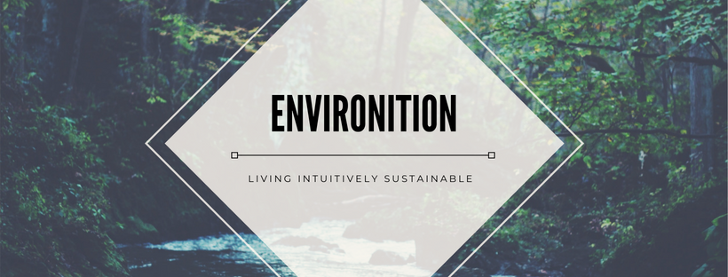 environition